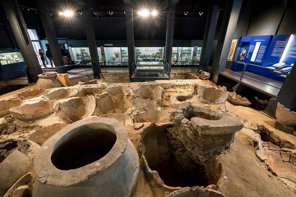 Musee dHistoire de Marseille 