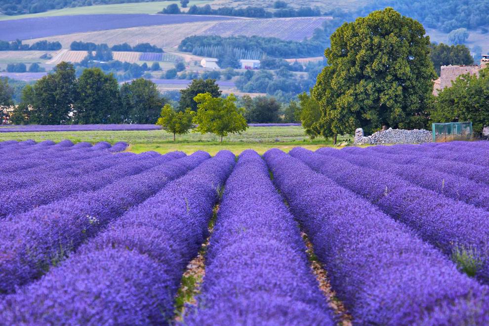 Provence