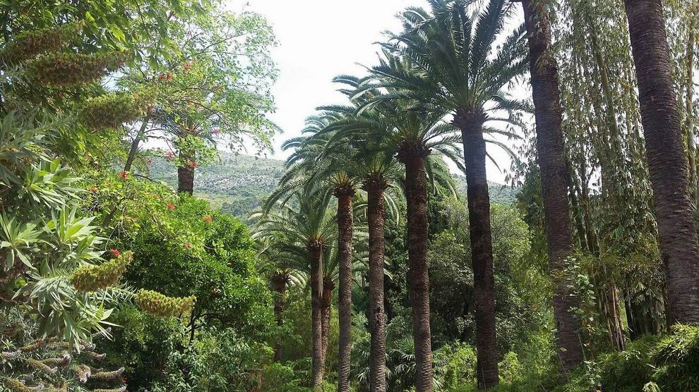 Menton Jardin Botanique Val Rahmeh